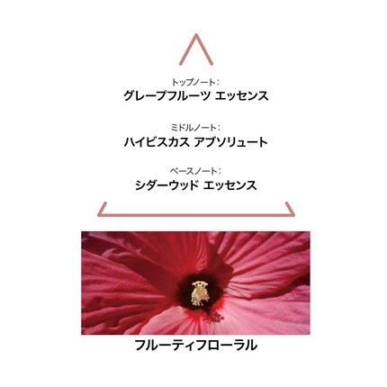 Le Couvent Maison de Parfum Aqua Amantia EdP 50мл — фото 2