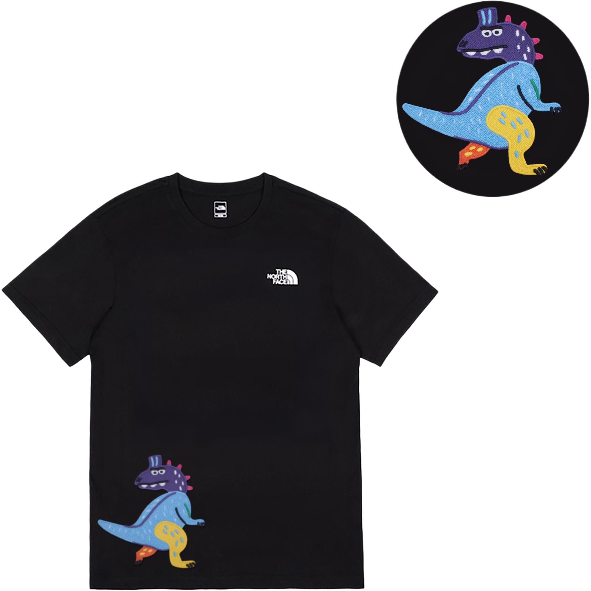 

THE NORTH FACE Футболка мужская черная, Черный, THE NORTH FACE Футболка мужская черная