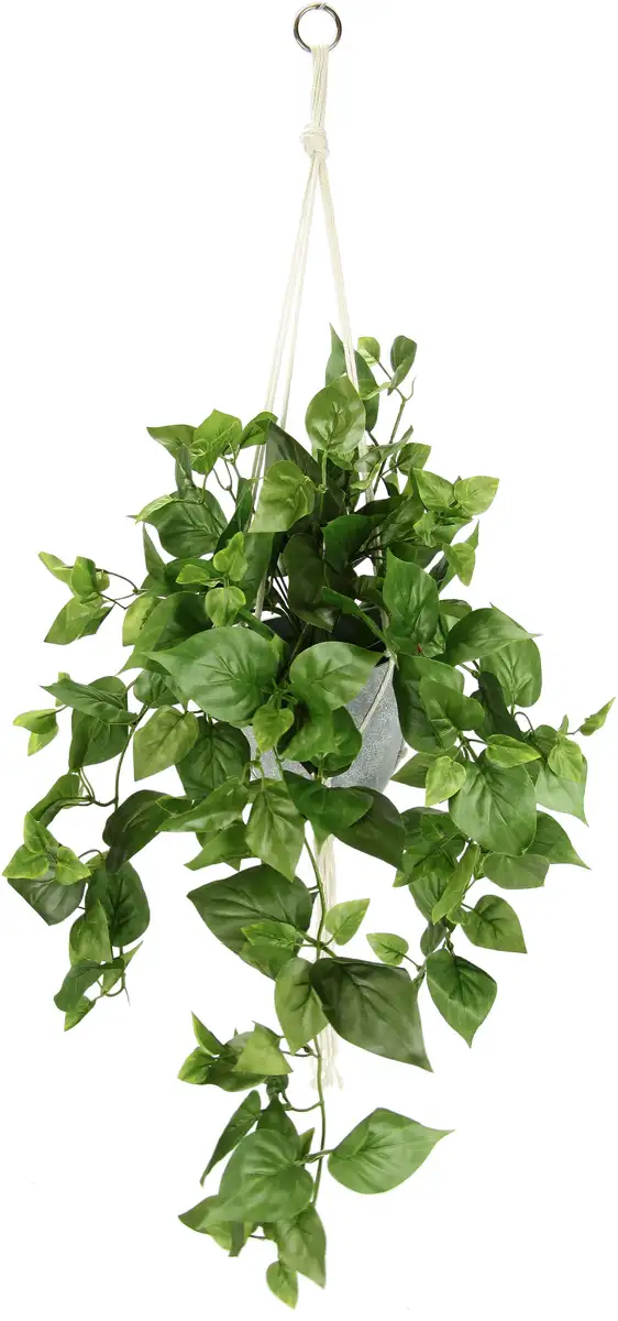 

И.ГЕ.А. Искусственное растение "Искусственный Филон подвесная корзина с подвесной корзиной", искусственный цветок в горшке I.GE.A. 45х80х40 см, зеленый