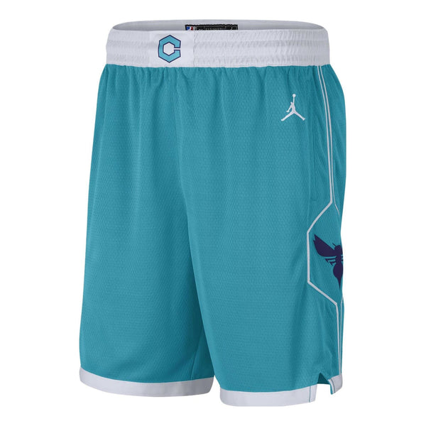 

Шорты hornets icon edition 2020 nba swingman shorts 'teal white' Air Jordan, мультиколор
