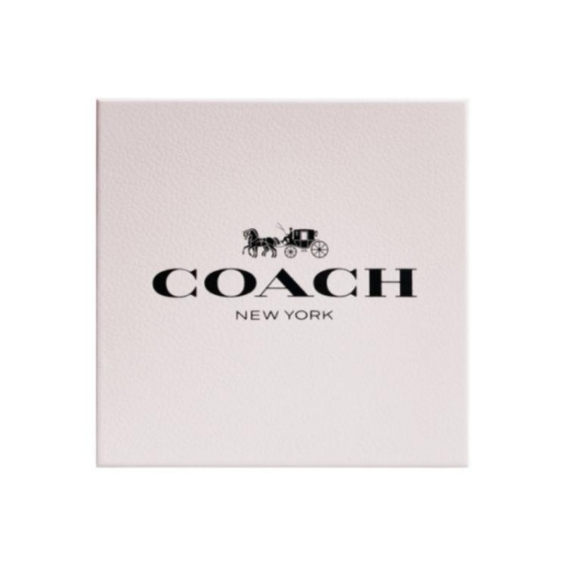 Женские духи Dream Journey с цветочно-фруктовым аккордом Eau De Parfum EDP, груша и гардения COACH, 90ml — фото 4