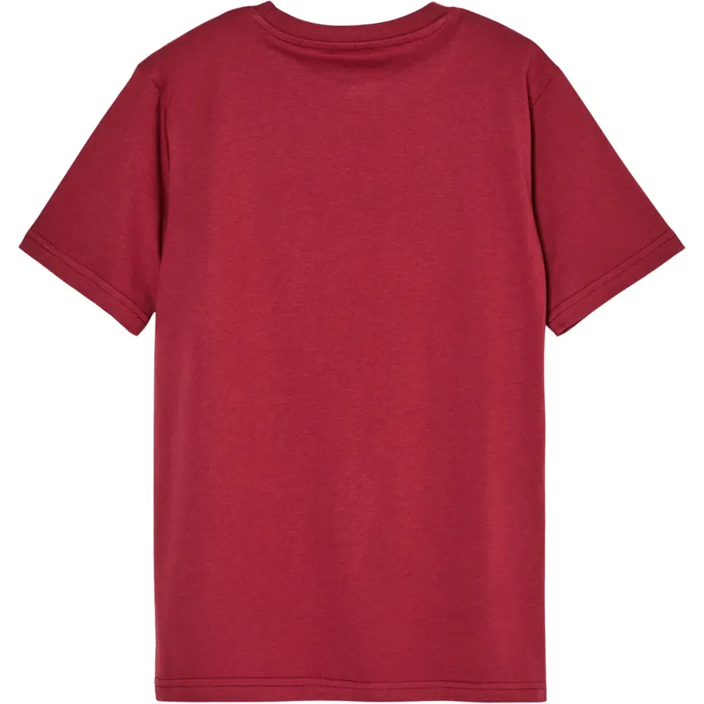 Детская футболка с коротким рукавом Quiksilver Evo Vista Logo, Red — фото 2