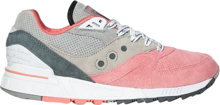 

Кроссовки Saucony Afew x Shadow Master 5000 Goethe, серый