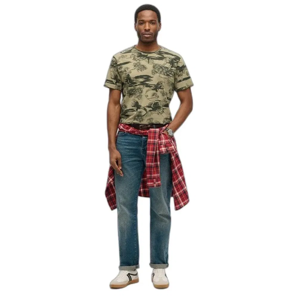 Мужская футболка с принтом Classic Essential Superdry, Green — фото 2
