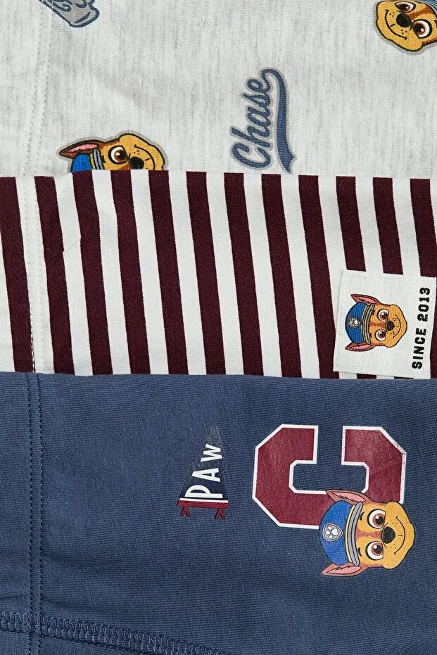 Детские боксеры для мальчиков хлопковые 5 шт. Boxer Shorts H&M, Dusty Blue Paw Patrol — фото 2