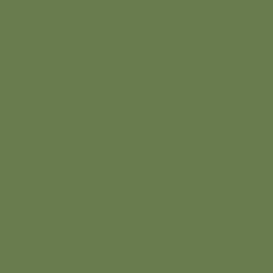 

Хеллгрун РЛМ 82, Paints - Greens, Blues, & Purples (Mission Models)