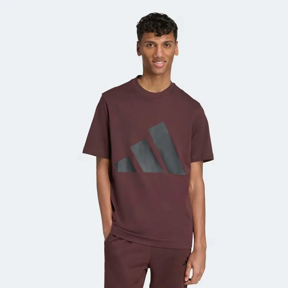 Мужская футболка с принтом Essentials Big Logo adidas, Brown
