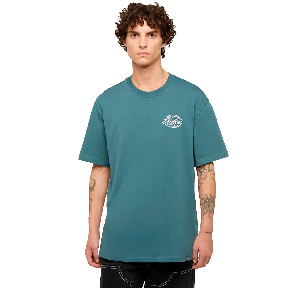 

Футболка Dickies Globe Long sleeve, белый
