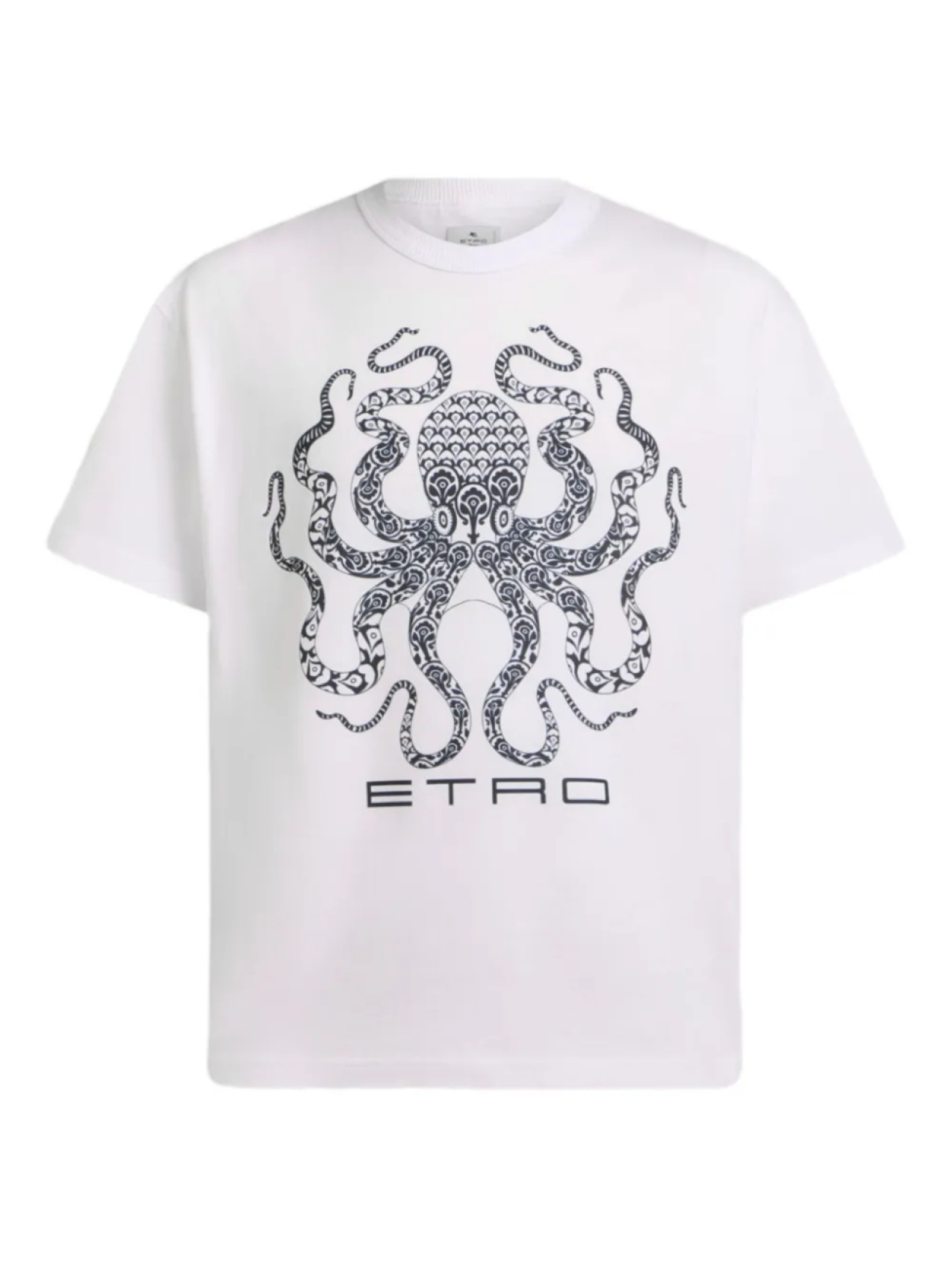 

Футболка с логотипом ETRO, белый