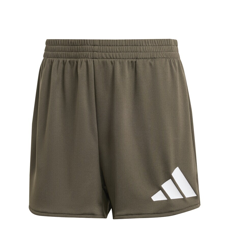 

Спортивные брюки ADIDAS PERFORMANCE Regular Workout Pants, зеленый