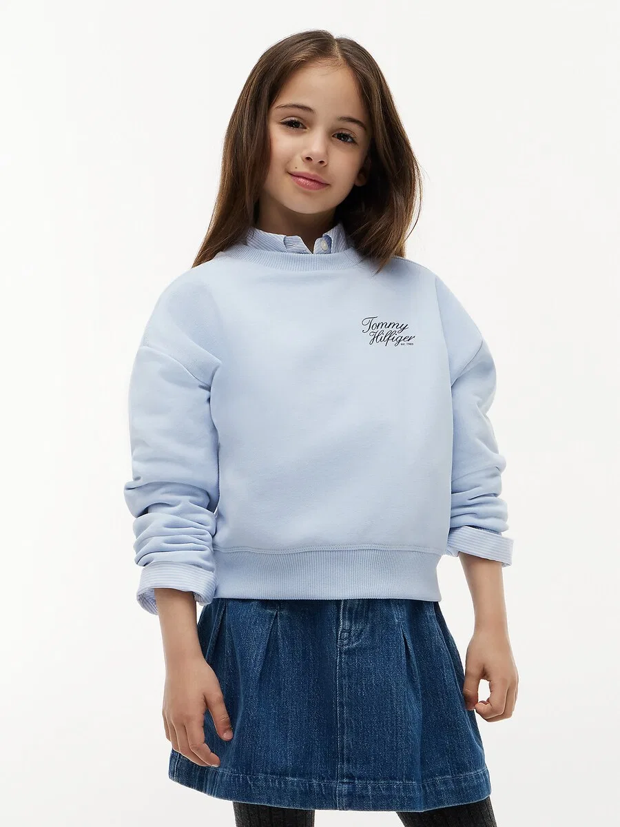 Толстовка TOMMY HILFIGER небесно-голубого цвета — фото 2