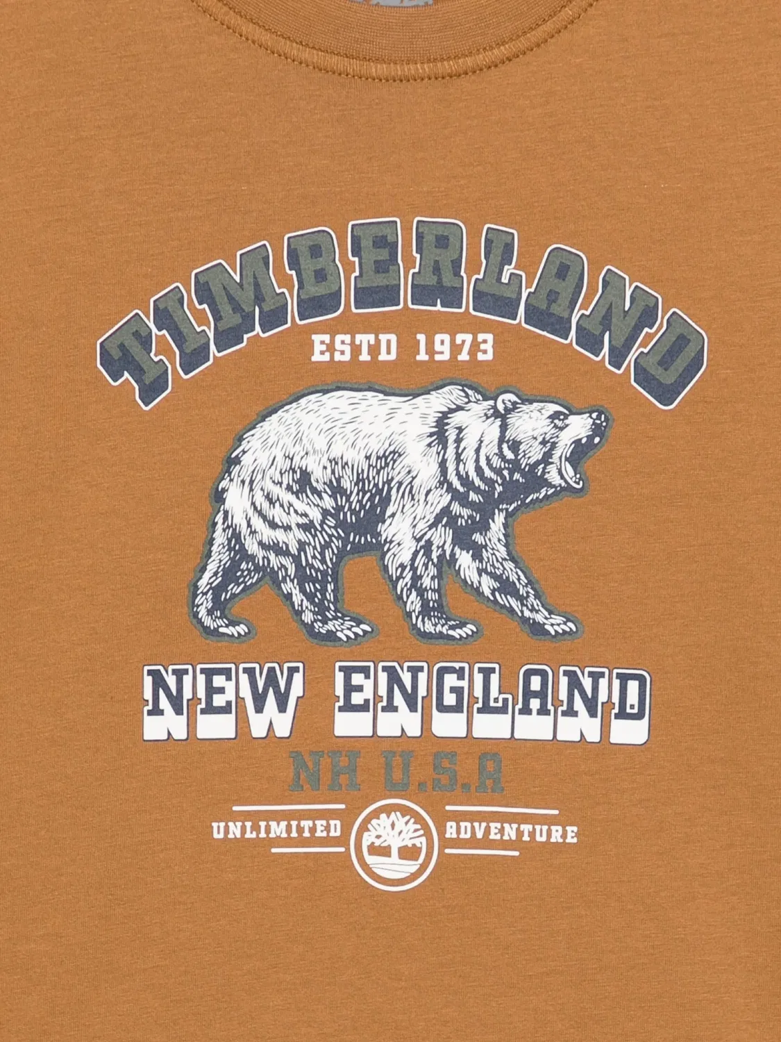 Футболка с графичным принтом Timberland Kids, коричневый — фото 3