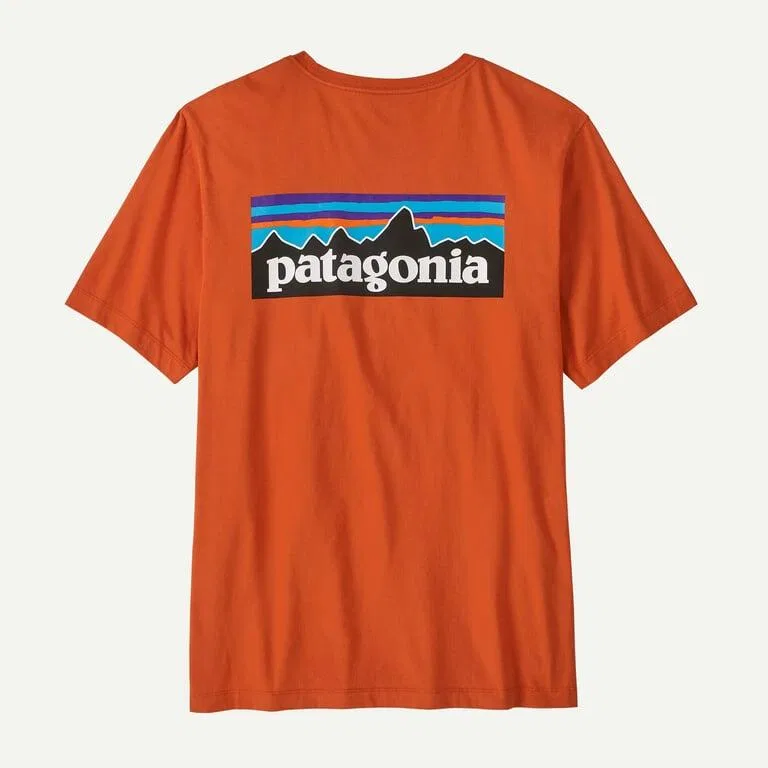 Мужская хлопковая футболка P-6 Logo Patagonia, Blau