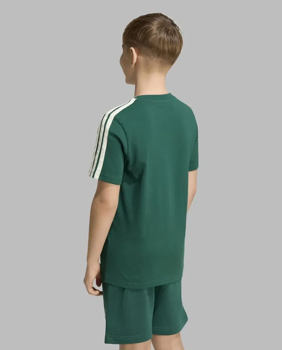 Детская футболка с принтом Seasonals Collegiate adidas, Verde — фото 4