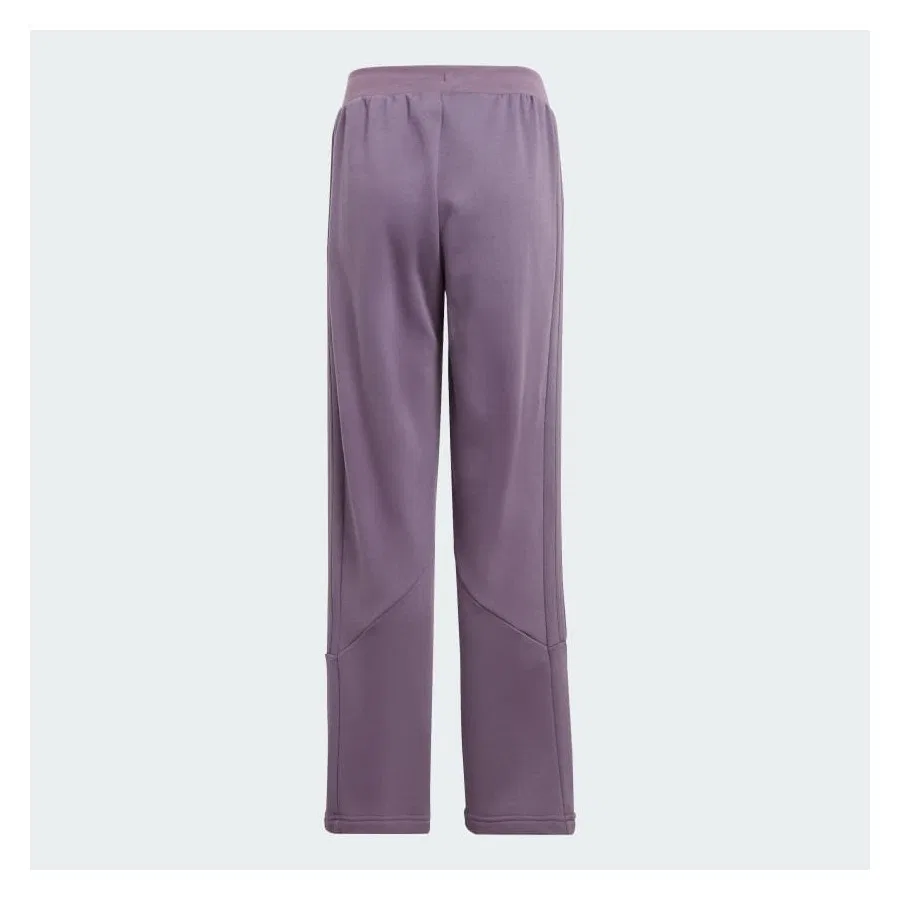 Спортивные штаны adidas Tiro Hot Wnter, Фиолетовый — фото 2