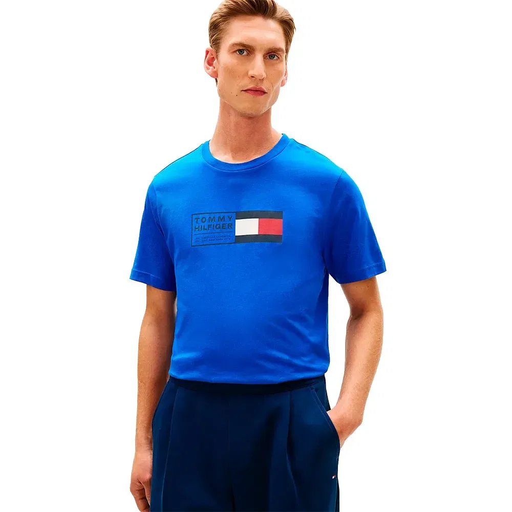 Мужская футболка с принтом Brand Love Text Box Tommy hilfiger, Blue