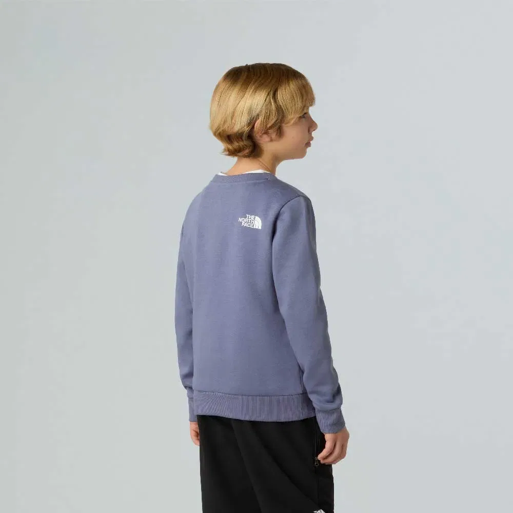 Детский свитшот для девочек Simple Dome The north face, Purple — фото 4