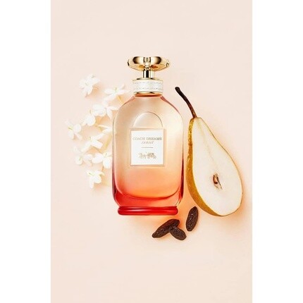 Coach Dreams Sunset Eau De Parfum 90ml — фото 3