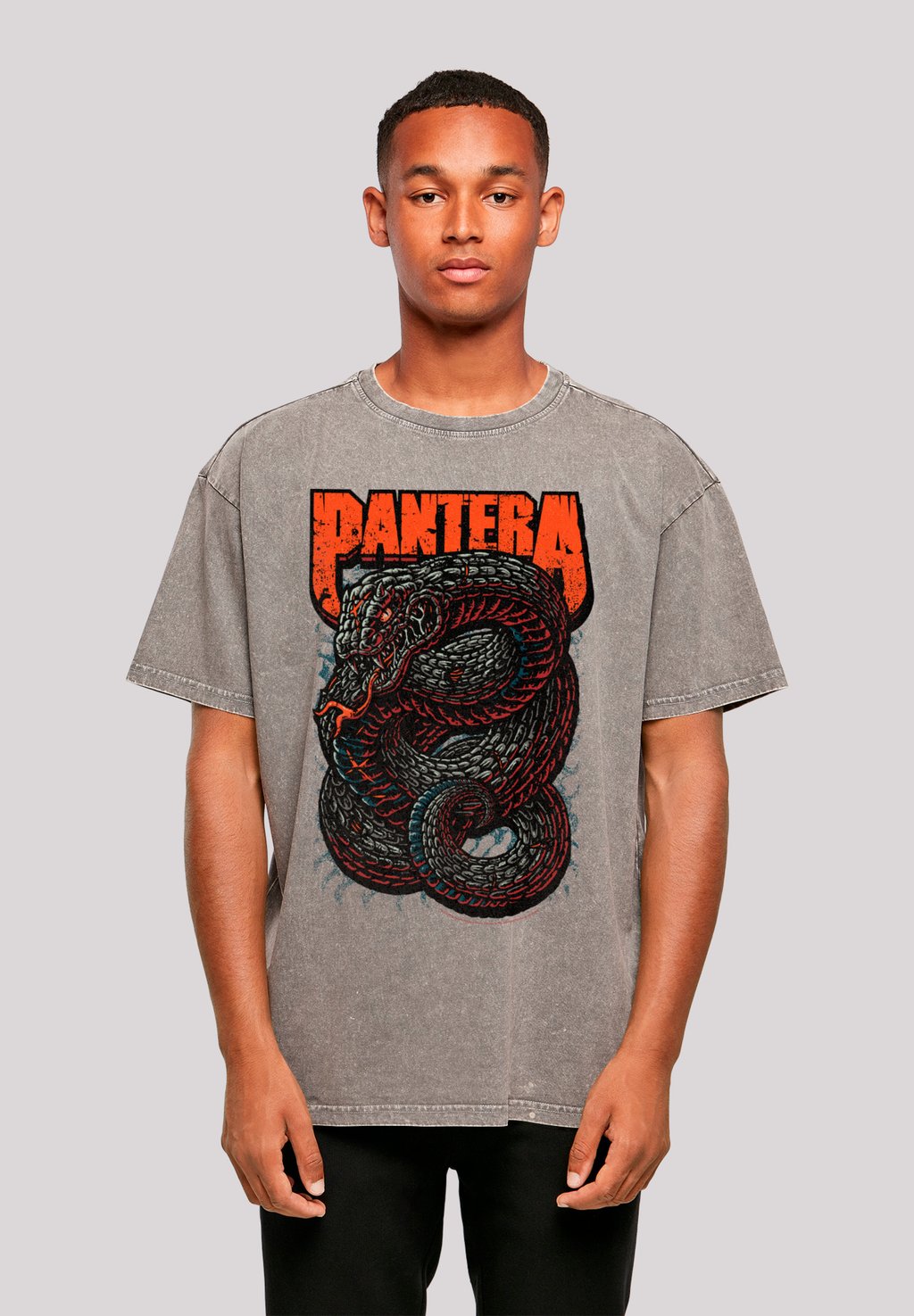 

Футболка с принтом PANTERA VENOMOUS SNAKE F4NT4STIC, серый