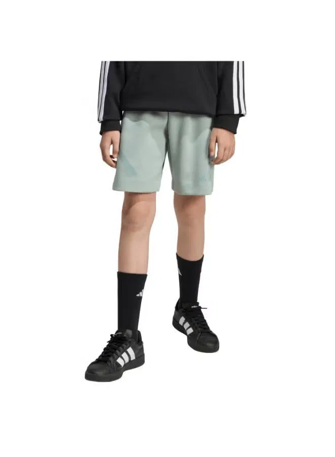 Шорты спортивные с принтом Z.N.E. Adidas, шалфейный