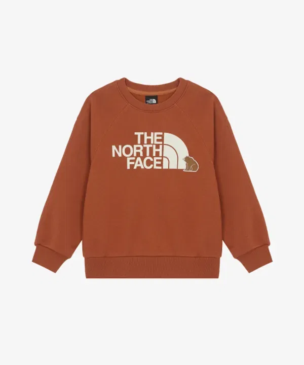 Свитшот детский Animate от The North Face, черный