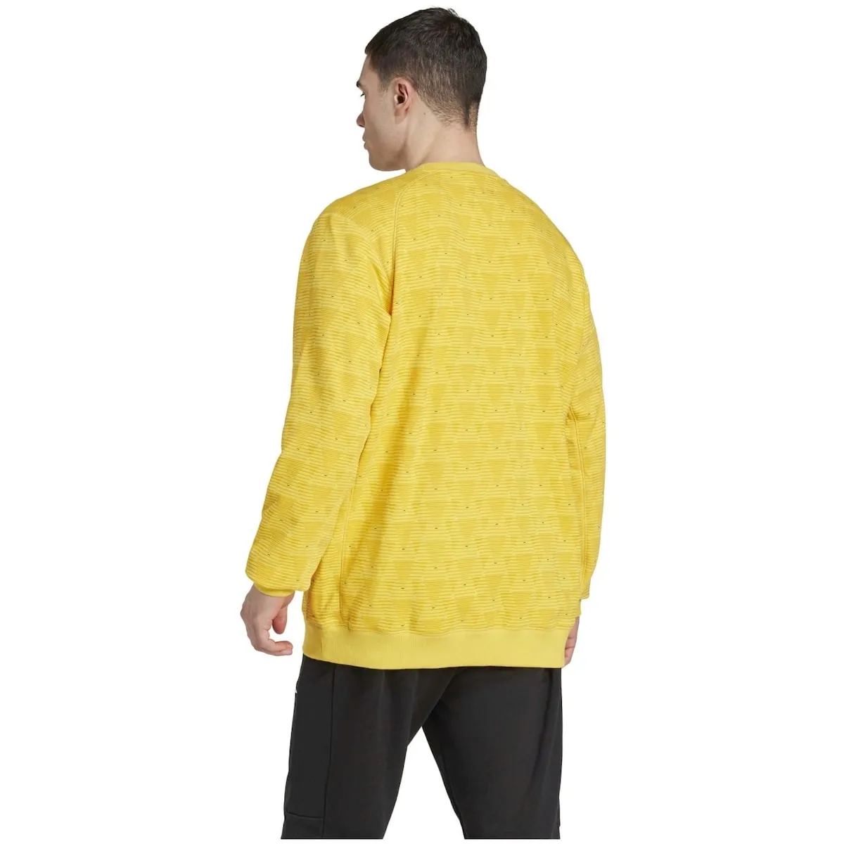 Мужская гандбольная толстовка FFHB GK adidas, желтый — фото 2