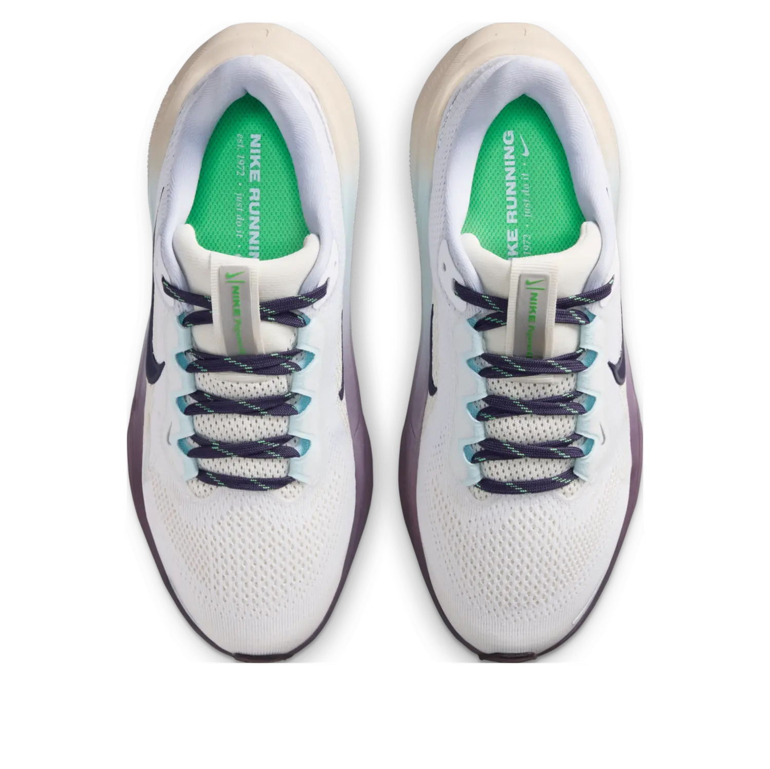 Кроссовки (GS) Nike Air Zoom Pegasus 41 'White Dark Raisin Palest Purple' — фото 2