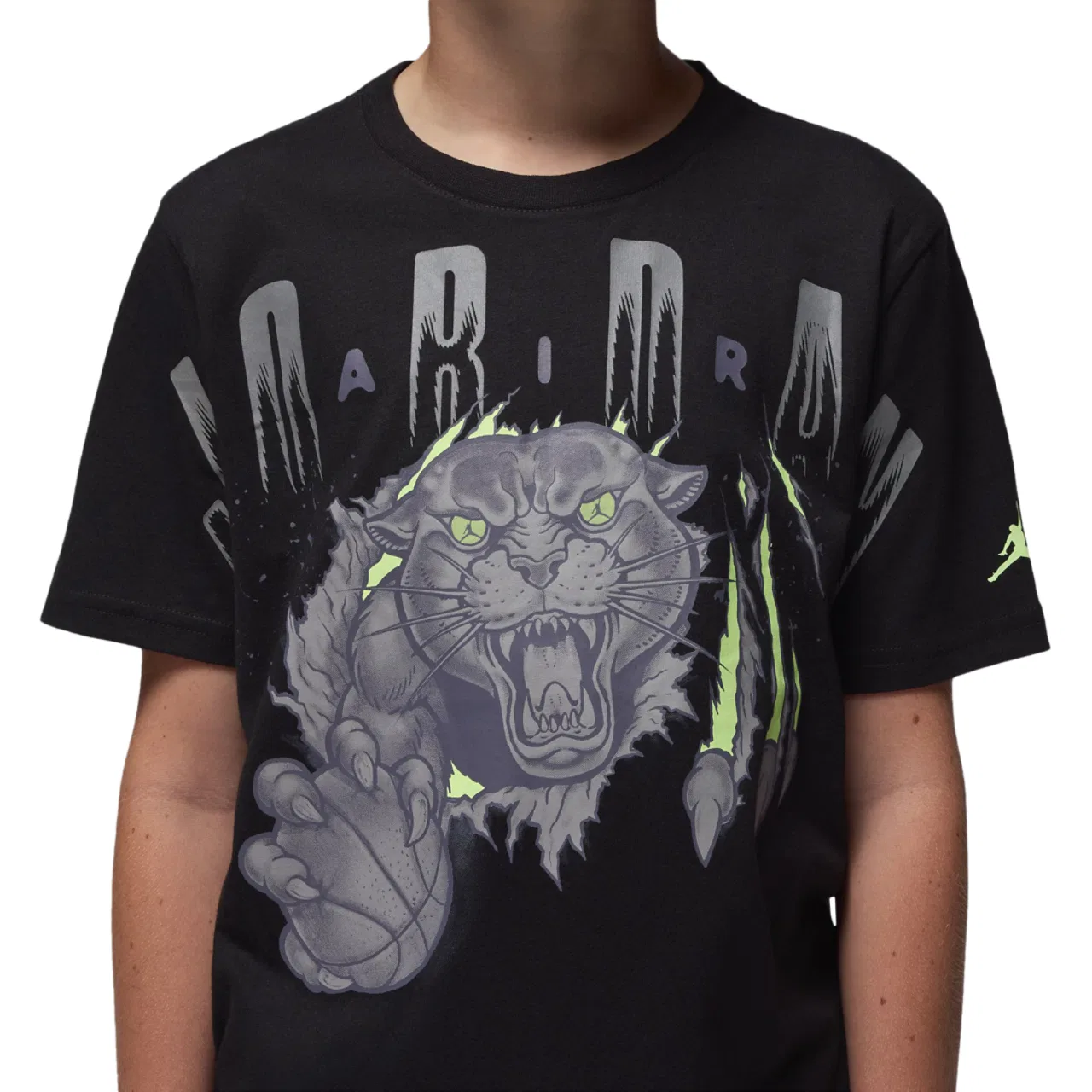 Футболка для мальчиков Unleash The Beast Jordan, черный/серый — фото 3