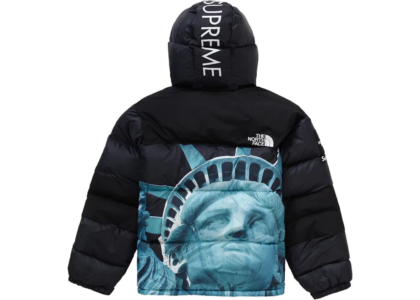 Мужская куртка Балторо с принтом Supreme The North Face Statue of Liberty, Black — фото 3