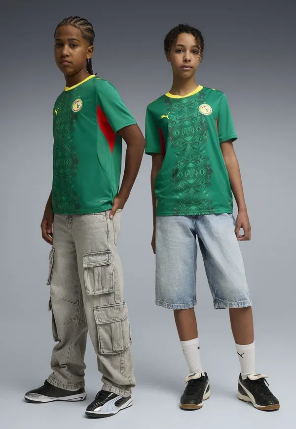 Футболка с принтом, впитывает влагу, Senegal away jersey youth, Puma, Wild Green, Red, красный