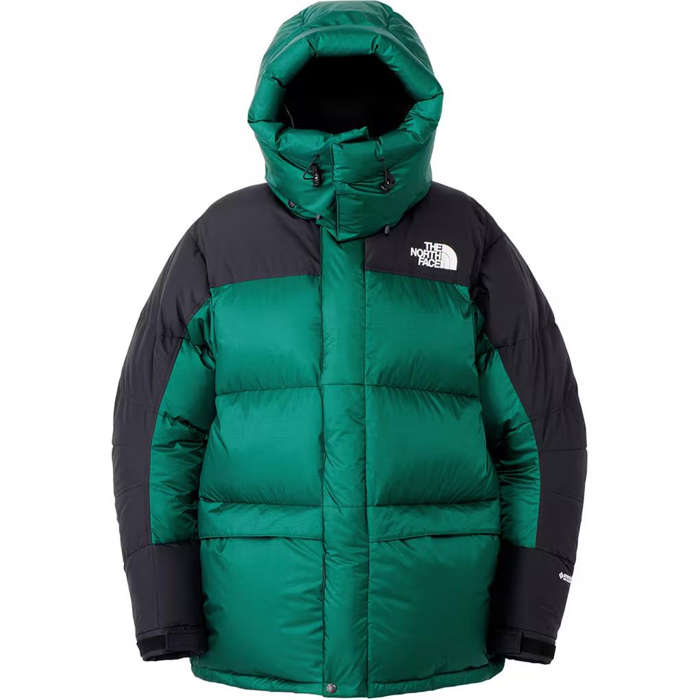 

THE NORTH FACE Зеленая куртка-пуховик мужская Down Jacket Men's Green