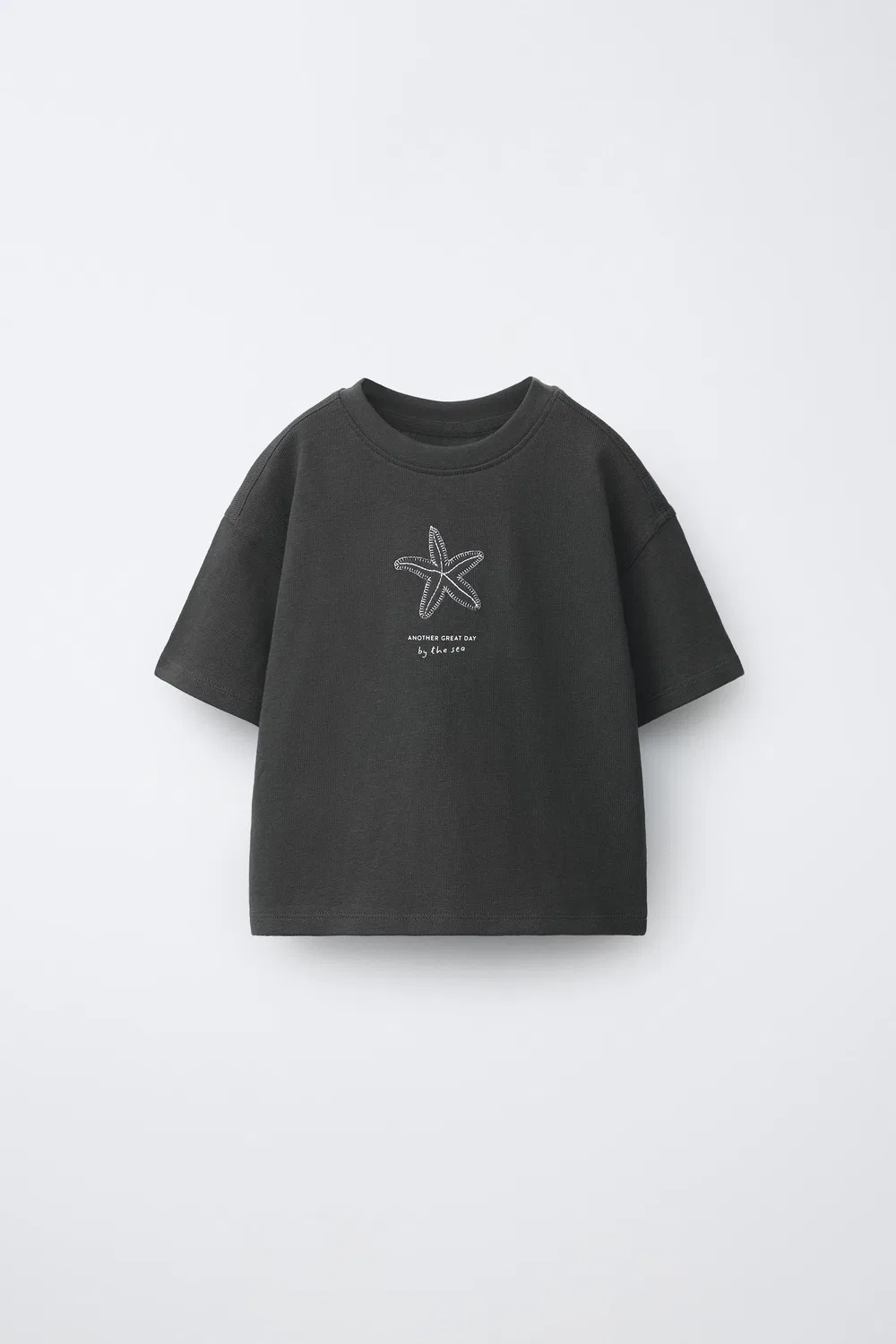 Футболка с вышивкой ZARA, Dark Anthracite