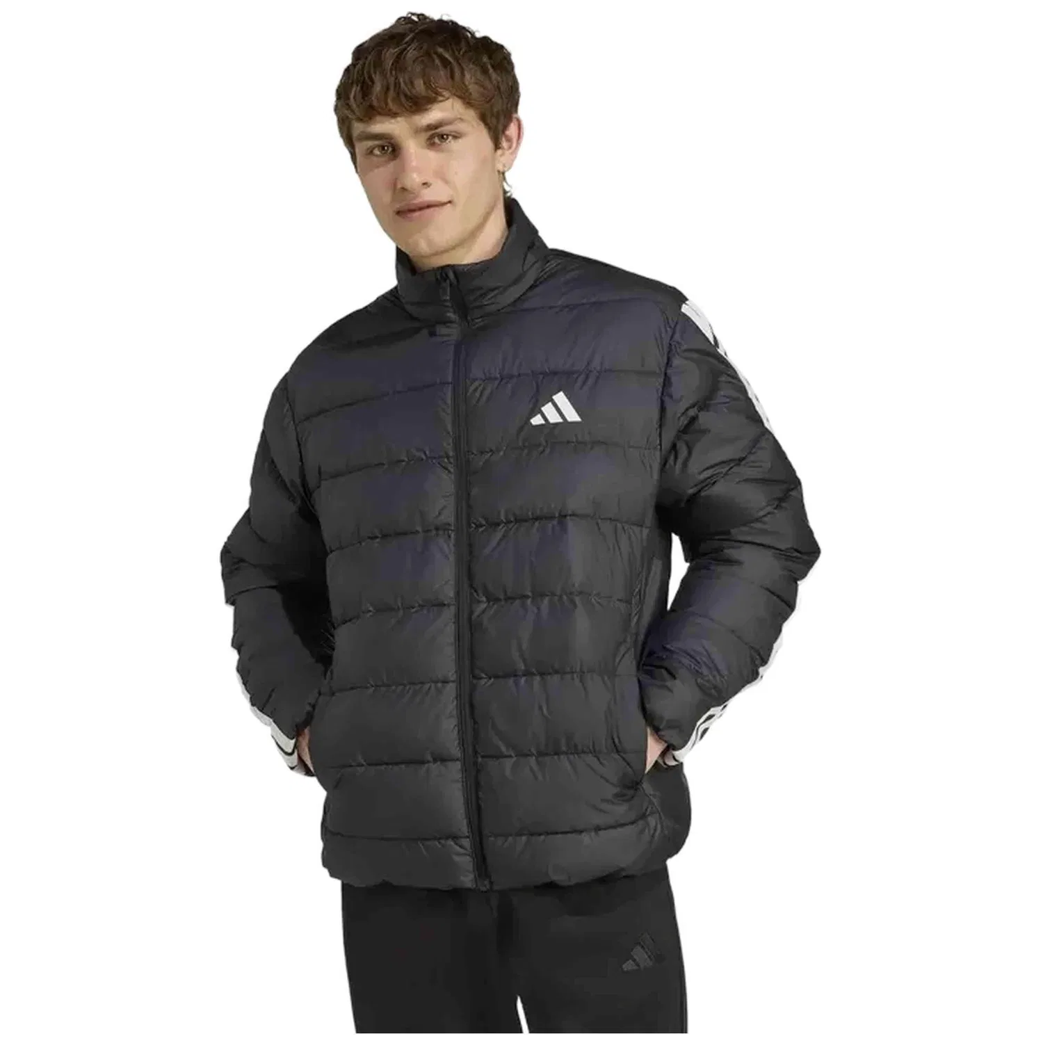 Мужское пальто Adidas JM8416, Schwarz