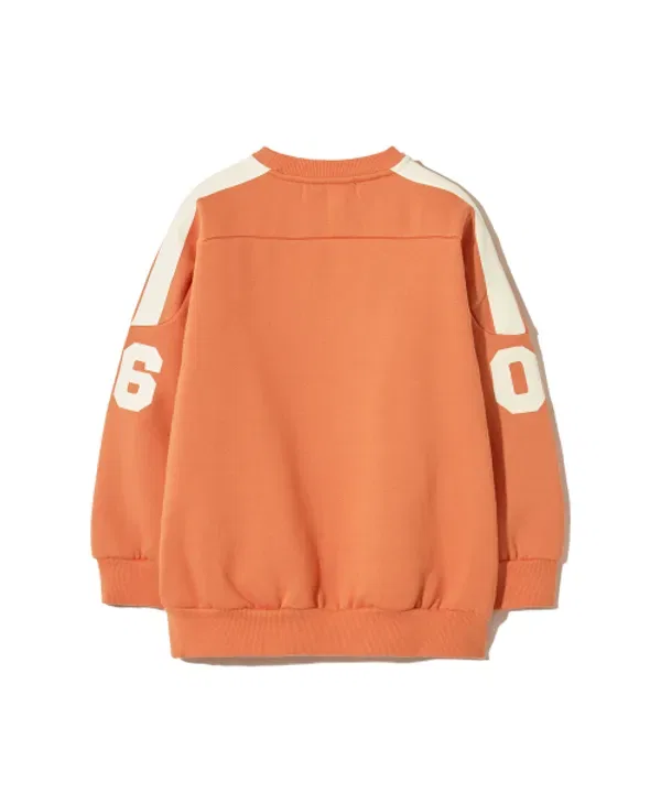 Свитшот футбольный Kids bb06, Brownbreath Kids, оранжевый — фото 3
