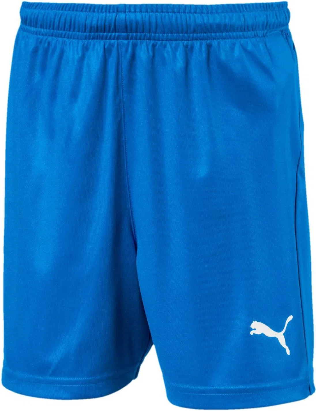 Шорты для активного отдыха PUMA Youth Core Liga, синий