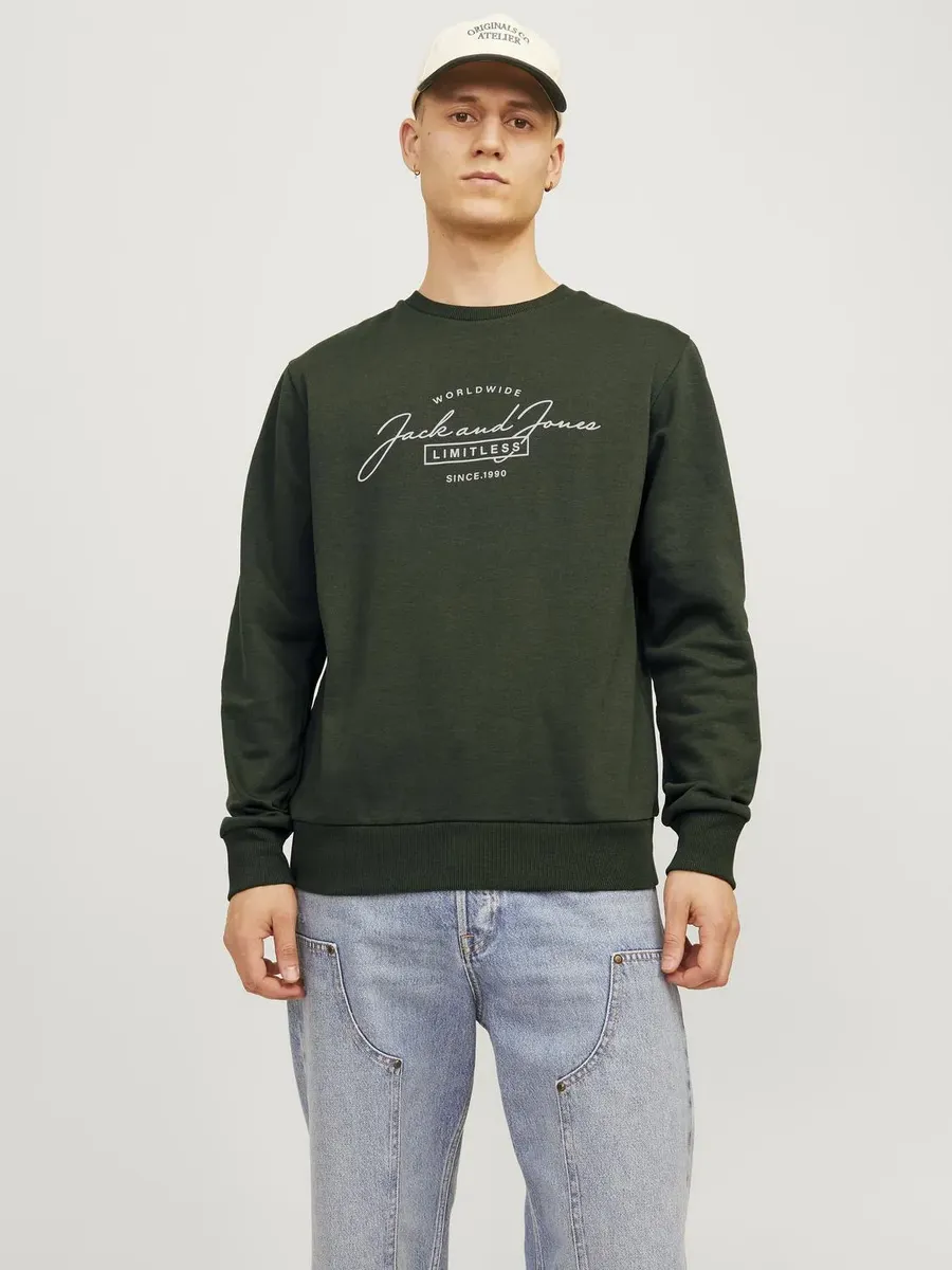 

Толстовка Jack & Jones "JJFERRIS SWEAT CREW NECK", цвет Kombu Green Print:Big