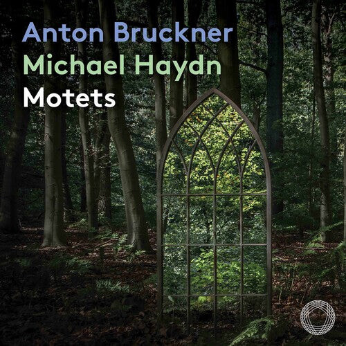 

CD диск Bruckner / Mdr Leipzig Radio Choir / Ahmann: Motets