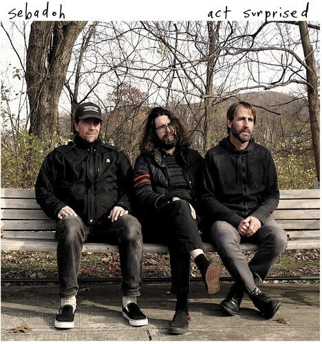 

Виниловая пластинка Sebadoh: Act Surprised