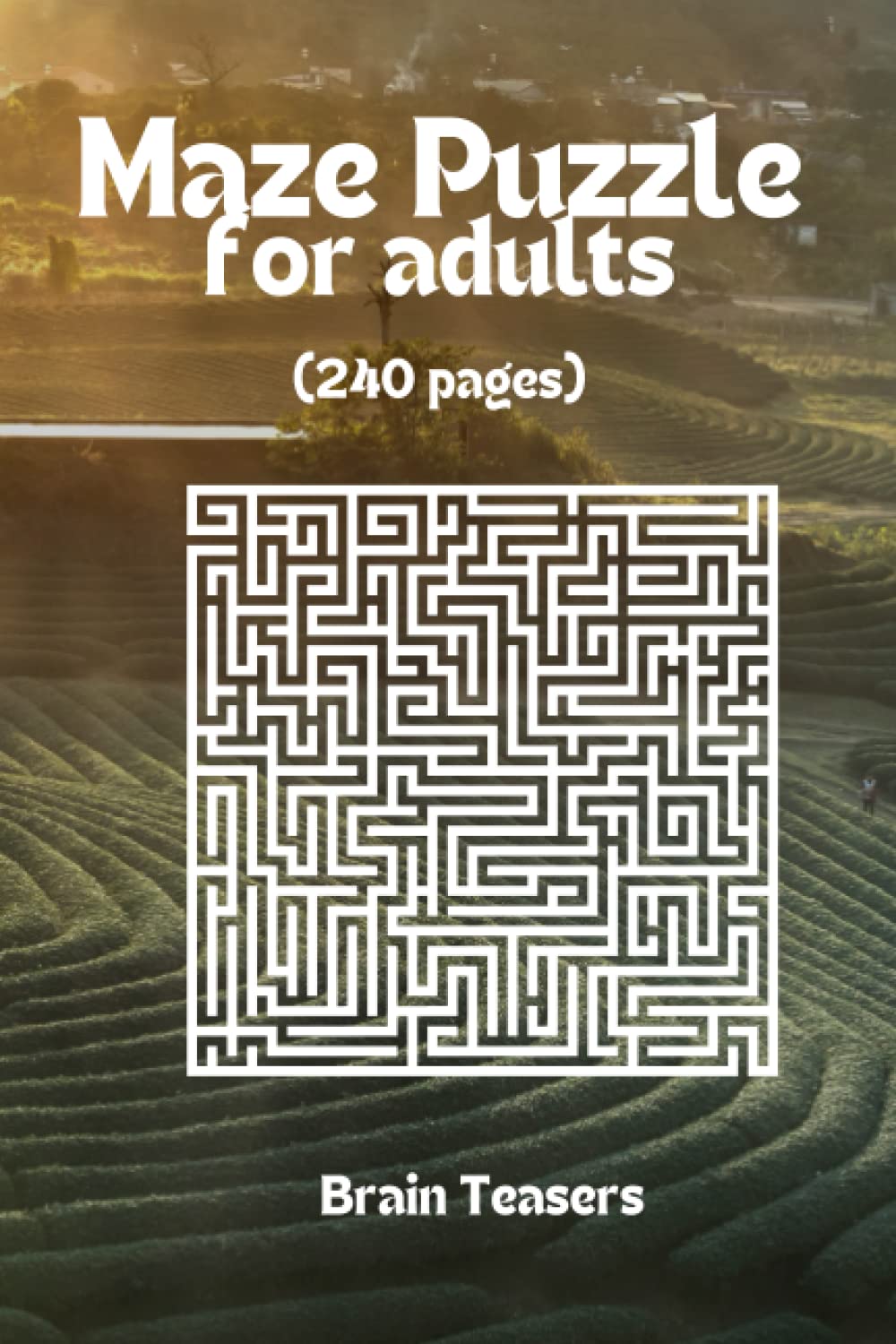 

The Best Maze Puzzle Book for Adults | Maze puzzles for the curious mind | Brain games for adults | Puzzle books for grown-ups | Brain teasers for ... games for adults | Creative problem-solving (Independently published)