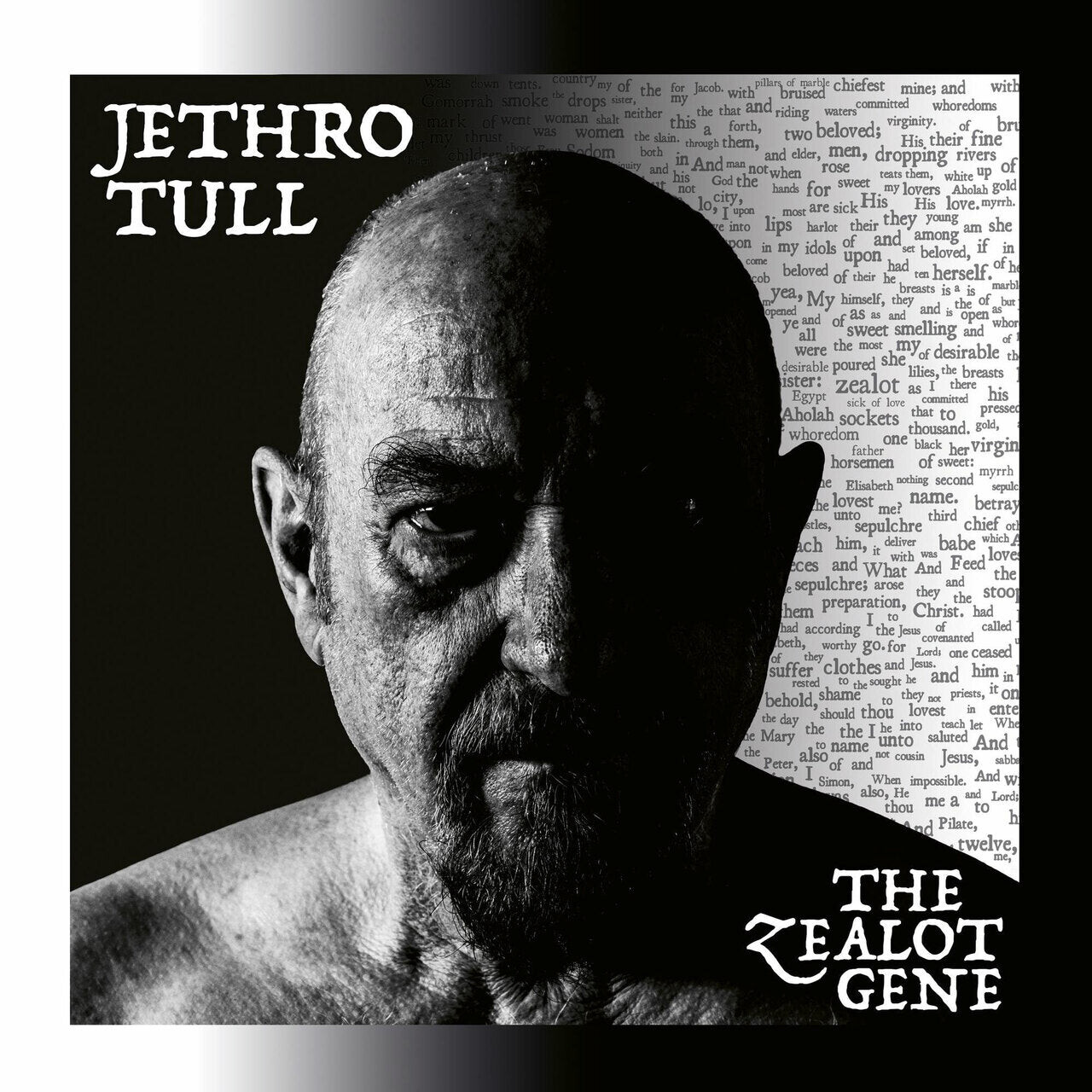 

Виниловая пластинка Jethro Tull - The Zealot Gene