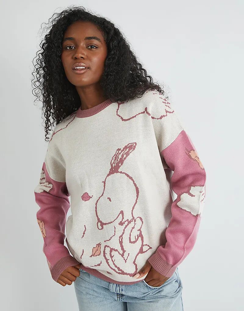 

Вязаный джемпер Skinnydip London Snoopy в разноцветном цвете