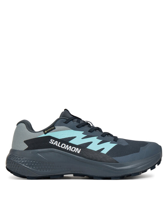 Кроссовки для бега Alphaglide Gore-Tex L47802500 Salomon, серый