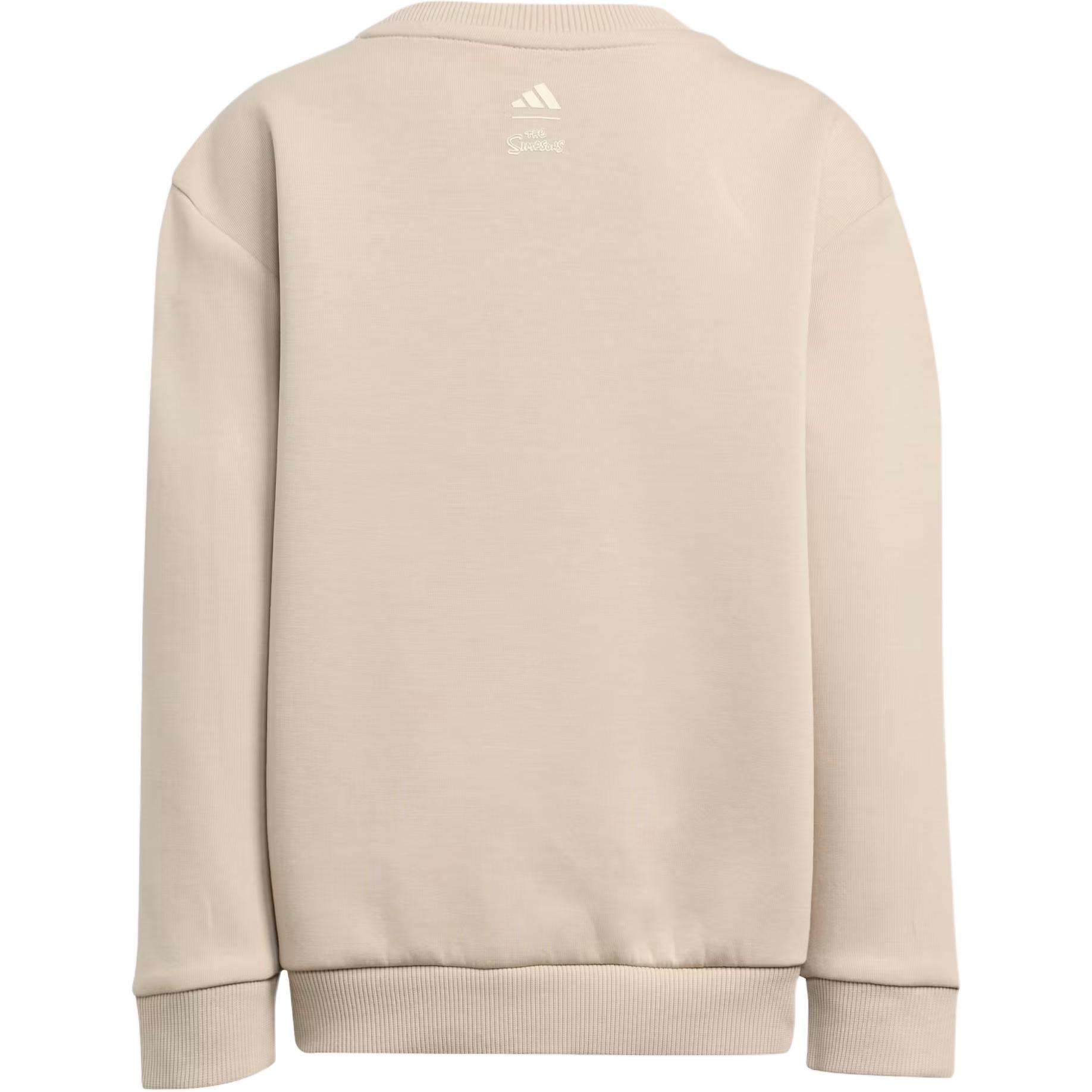 Детский спортивный комплект Casual Sportswear 2 Piece Set Adidas, коричневый — фото 4