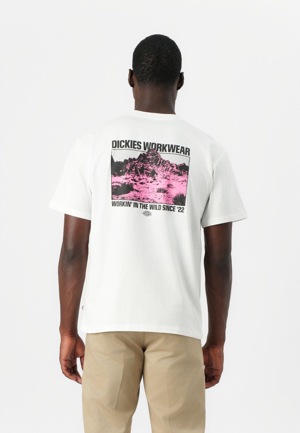 

Футболка с принтом MIDDLE POINT TEE Dickies, белый