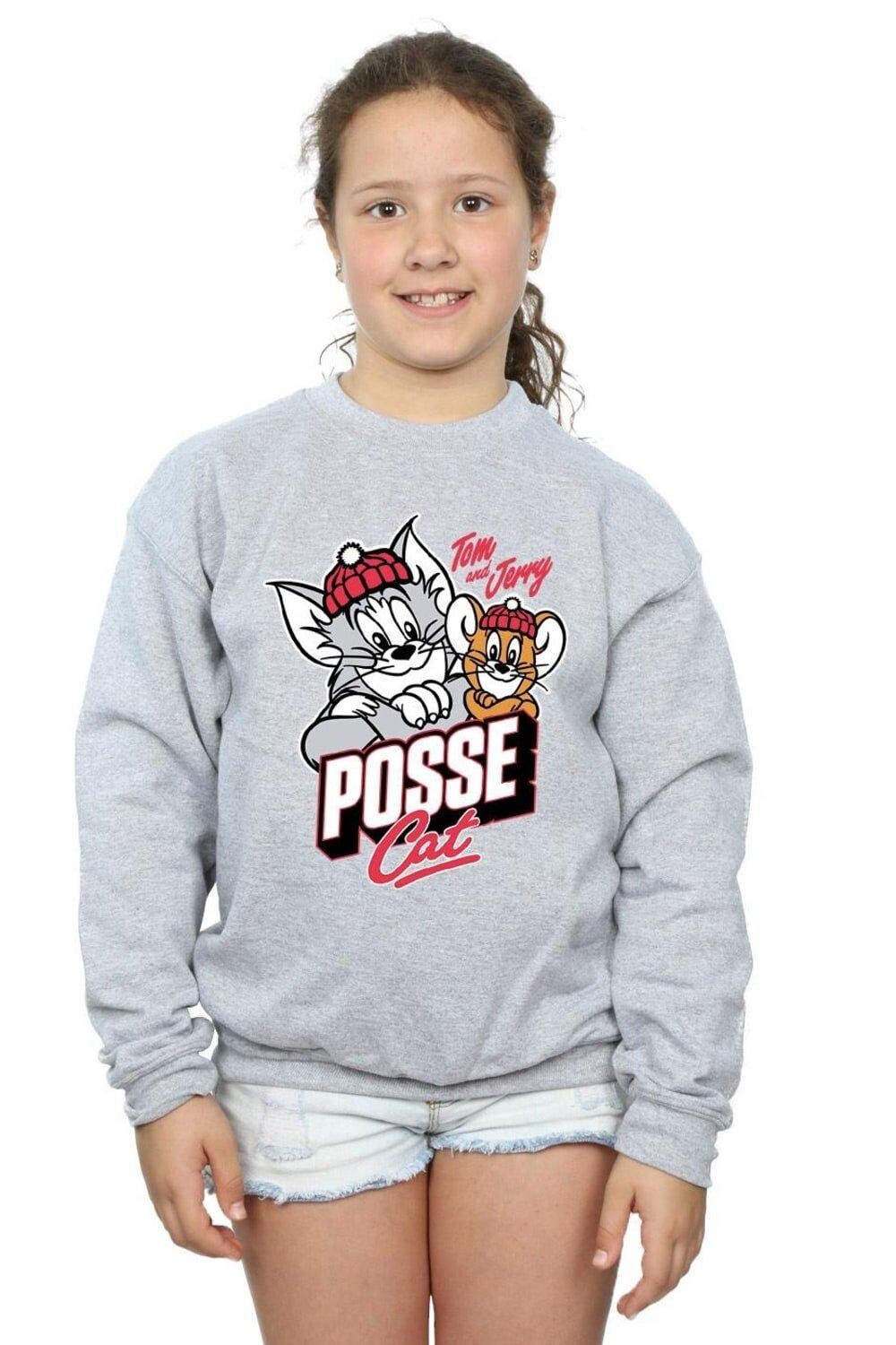 

Толстовка Posse Cat Tom & Jerry, серый
