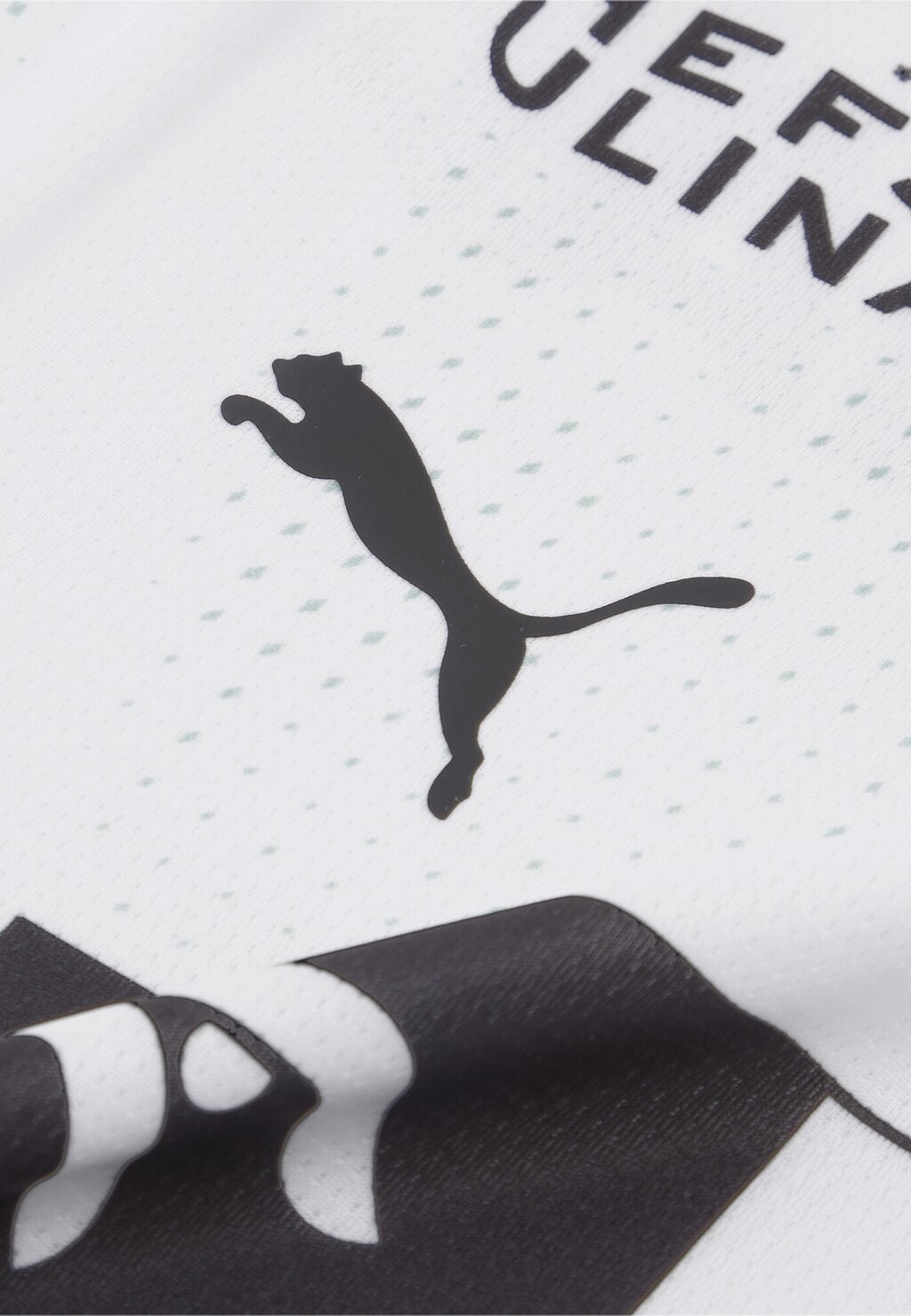 

Футболка THW KIEL 24/25 Puma, белый