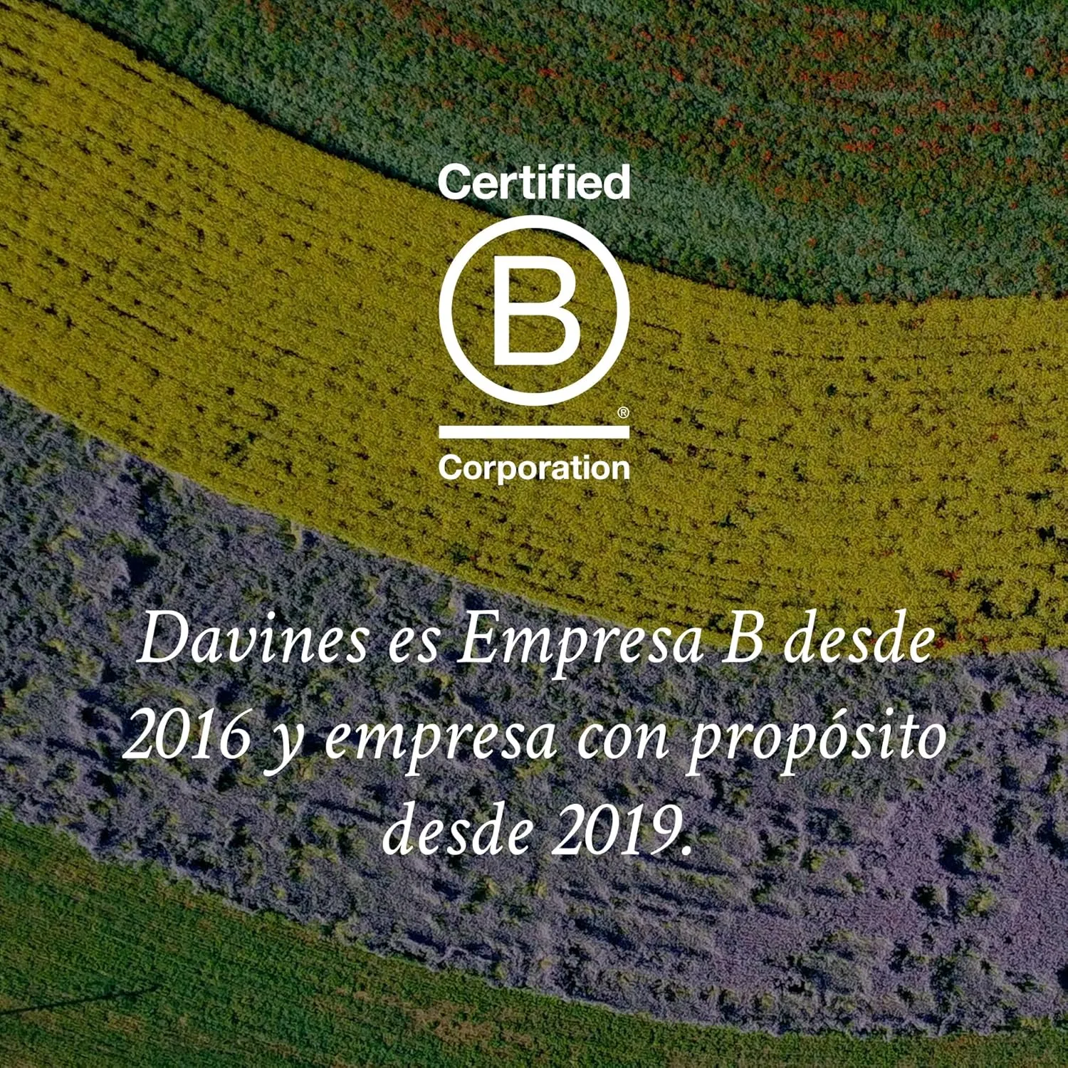 Шампунь для волос «Naturaltech Well-Being» от Davines — фото 4