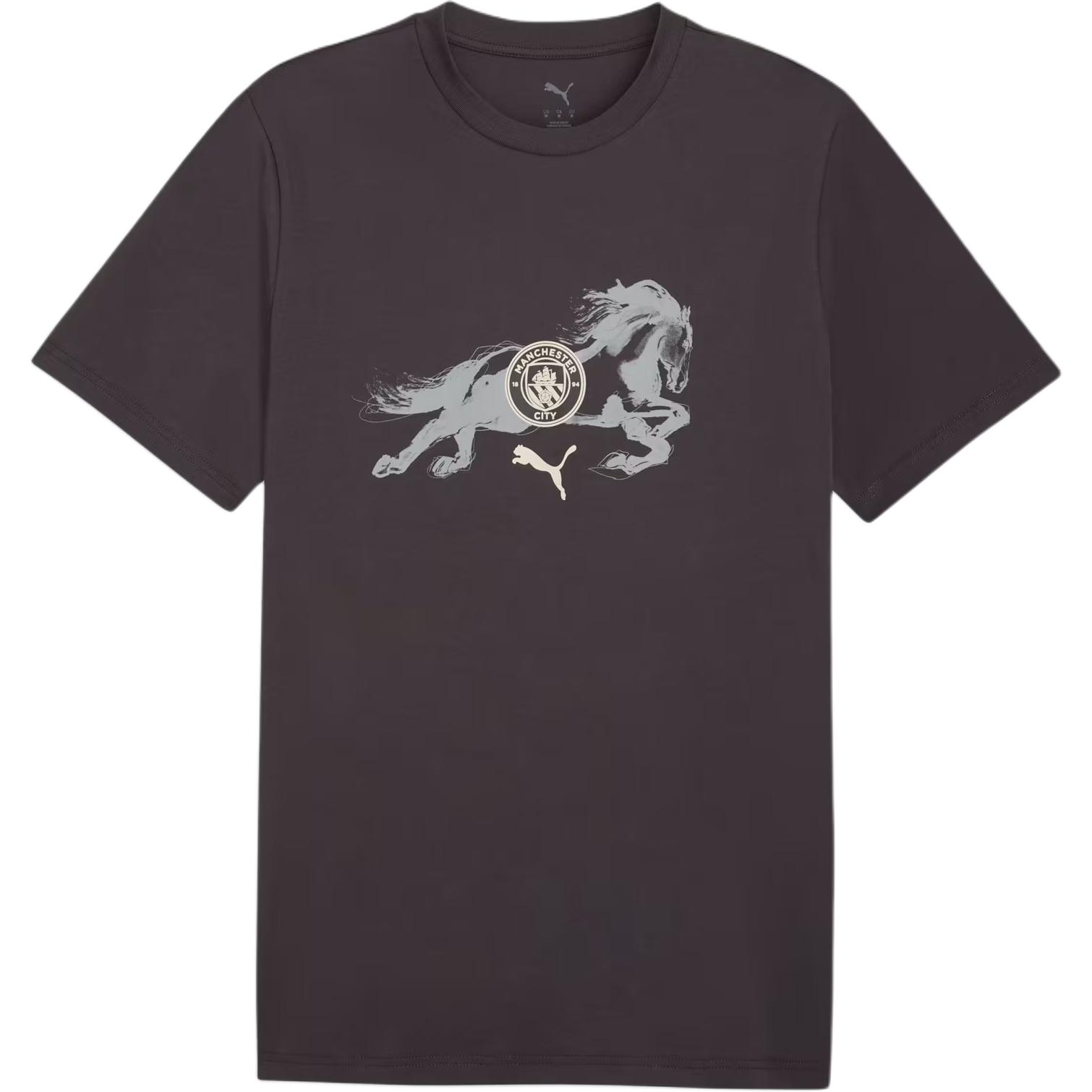 

PUMA Футболка мужская Flat Dark Gray/Gray Echo с круглым вырезом Moderate