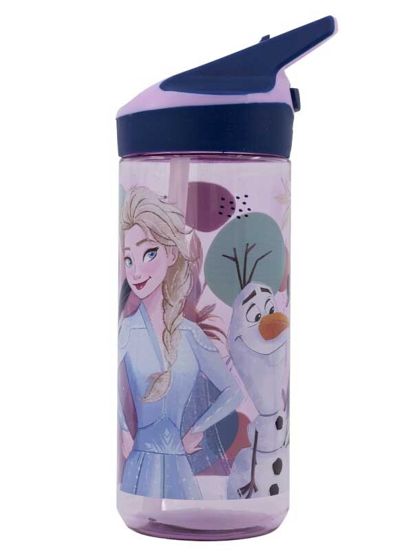 

Бутылка Stor Frozen MEDIUM ECOZEN PREMIUM BOTTLE 620 ML, разноцветный