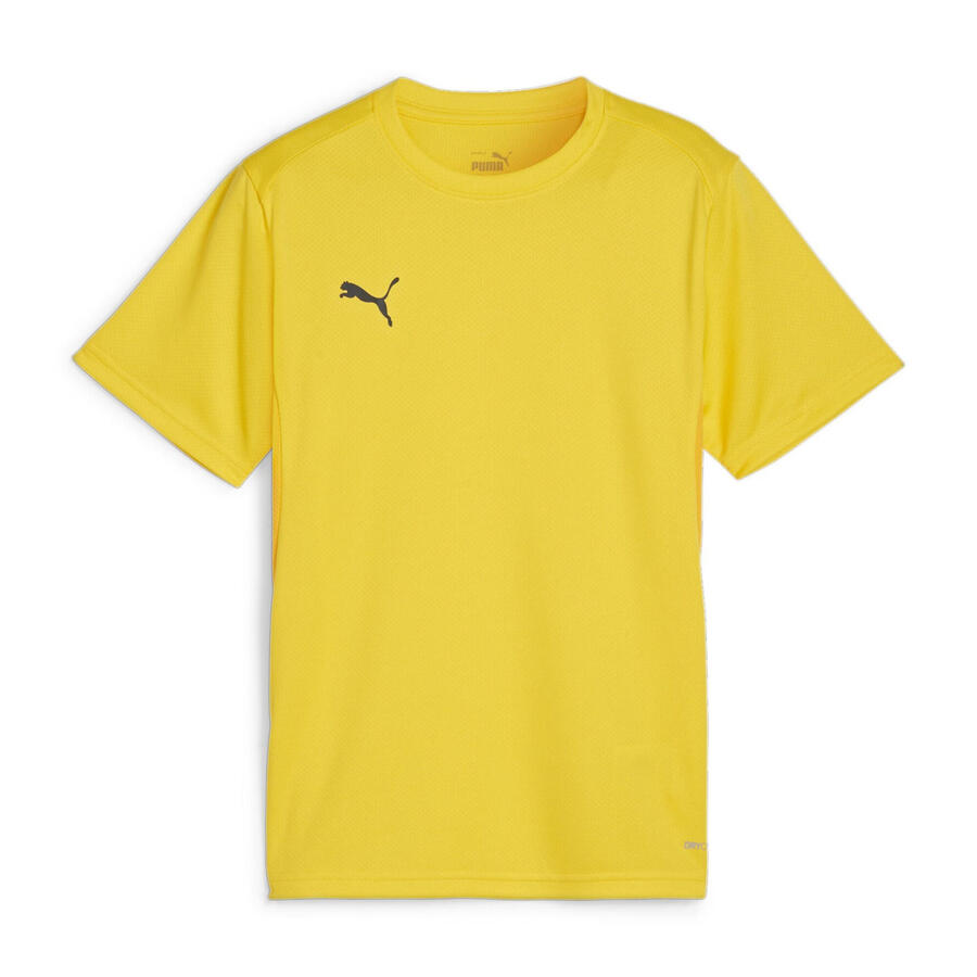 

Детская футболка Puma teamGOAL Jersey Jr 658637